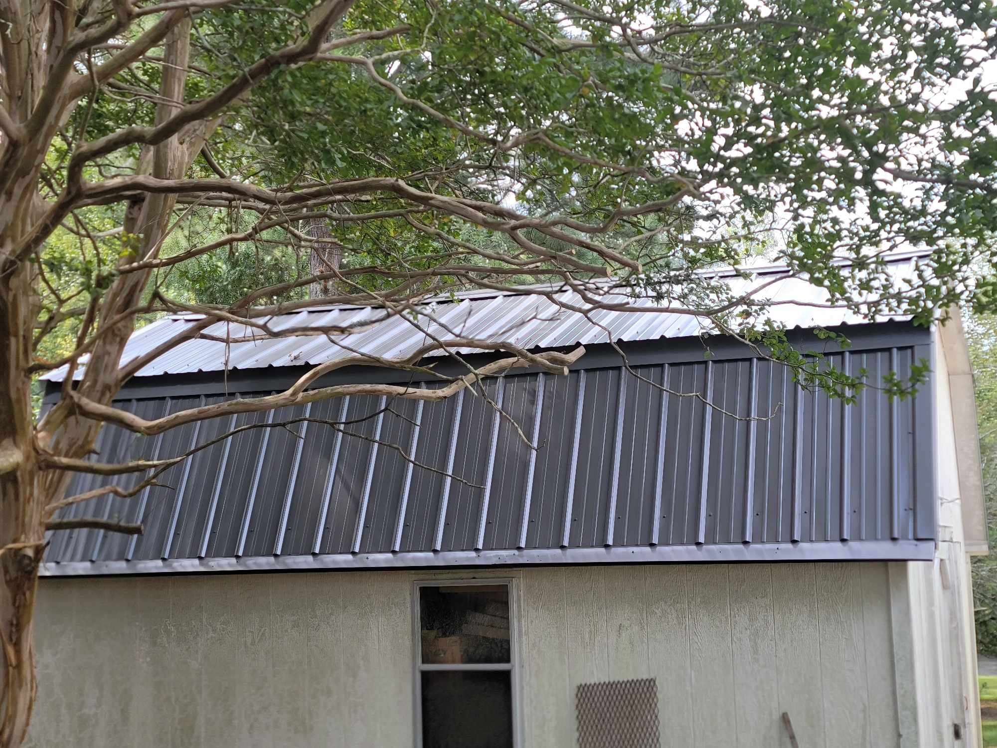 Metal roofing service in Hillsborough, NC on a shed